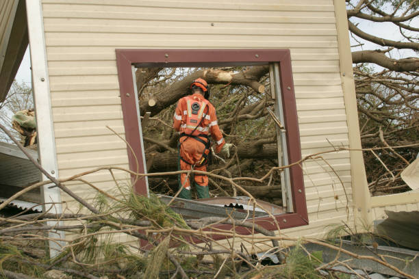 Best Utility Line Clearance  in Blackstone, VA